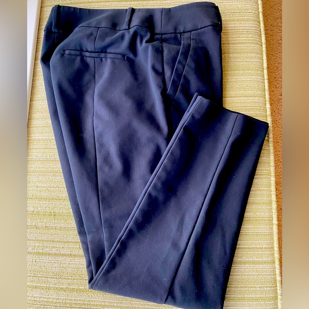 Ann Taylor Loft pants
